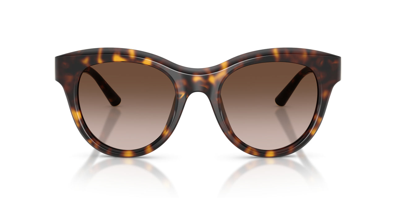 502/13 - Tortoise - Gradient Brown