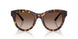 502/13 - Tortoise - Gradient Brown