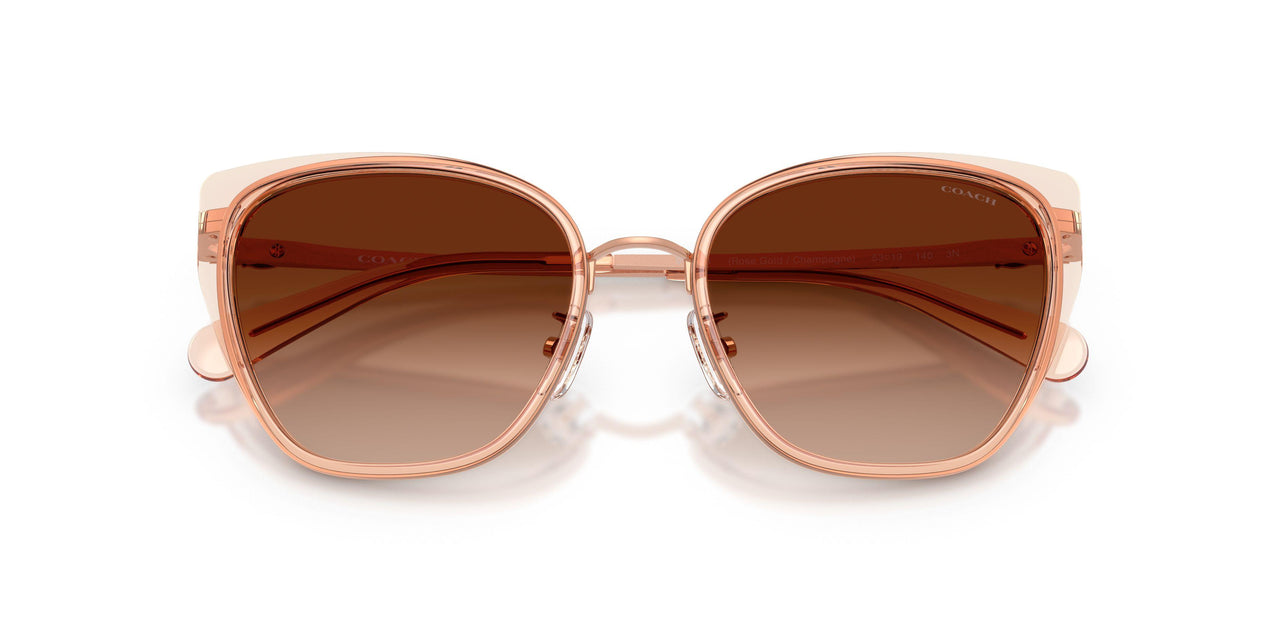 948774 - Brown - Brown Gradient