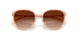 948774 - Brown - Brown Gradient