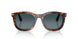 24/S3 - Tortoise - Light Blue Gradient Dark Blue