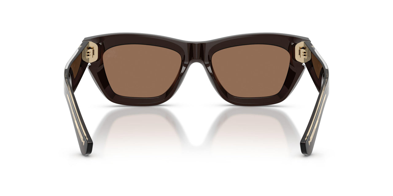 411673 - Brown - Dark Brown