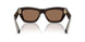 411673 - Brown - Dark Brown