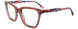 Paradox P5103 Eyeglasses