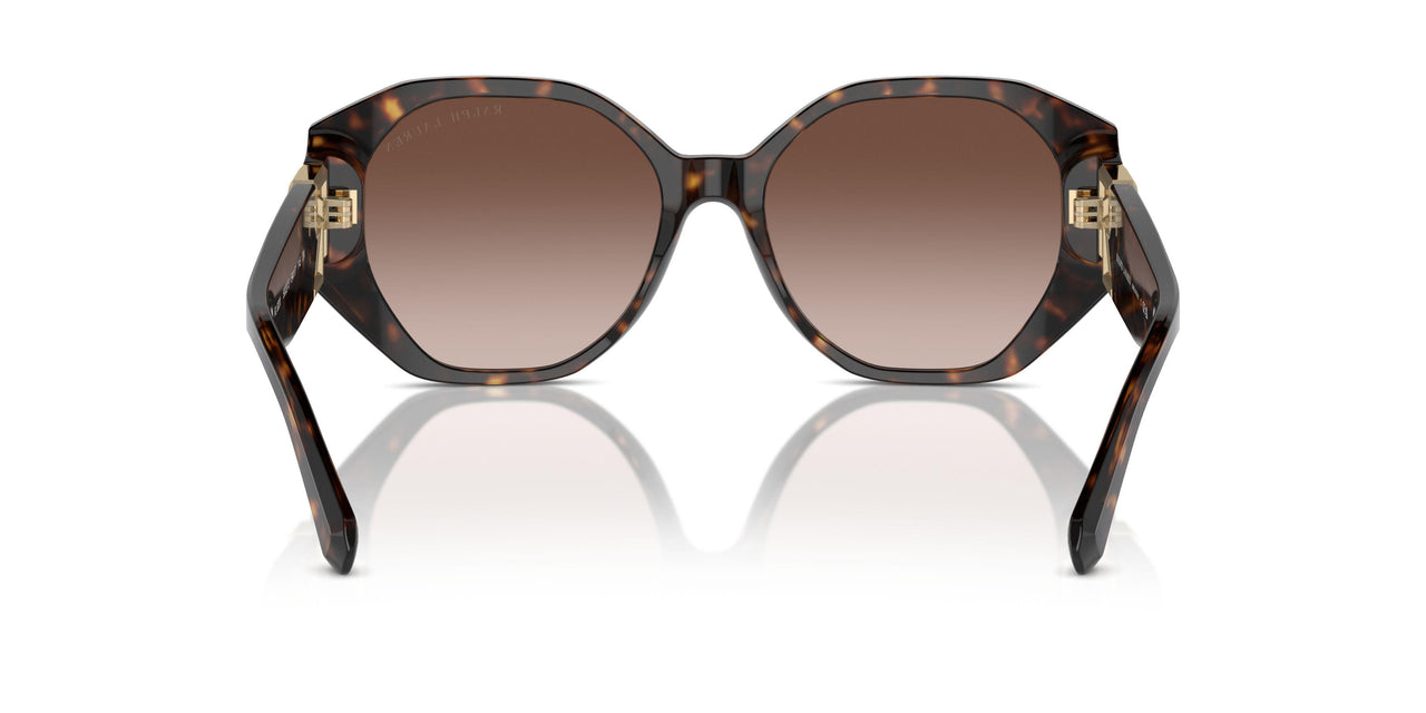 500313 - Brown - Brown Gradient