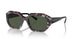 31499A - Grey - Dark Green Polarized
