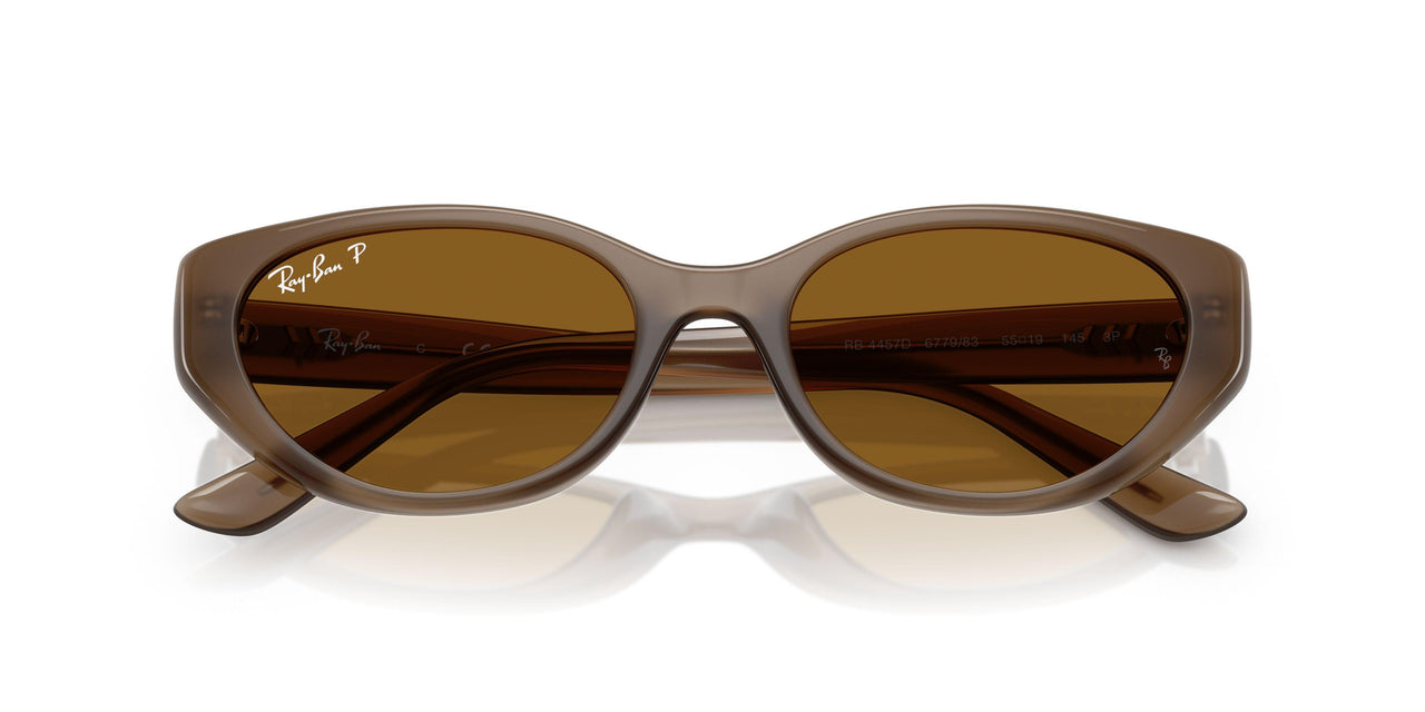 677983 - Brown - Dark Brown - Polar