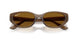 677983 - Brown - Dark Brown - Polar