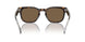 W65673 - Brown - Dark Brown
