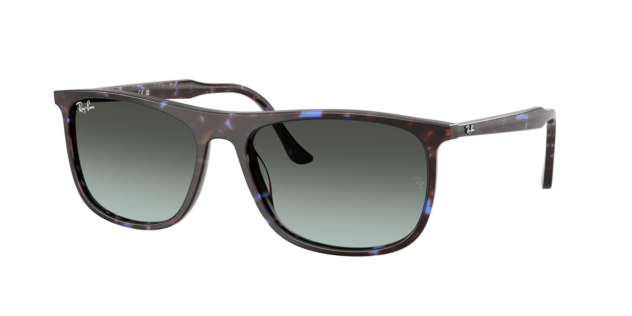 Ray-Ban 2216F Sunglasses