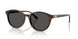 Swarovski 6075D Sunglasses