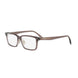 048 - Shiny Brown - DEMO
