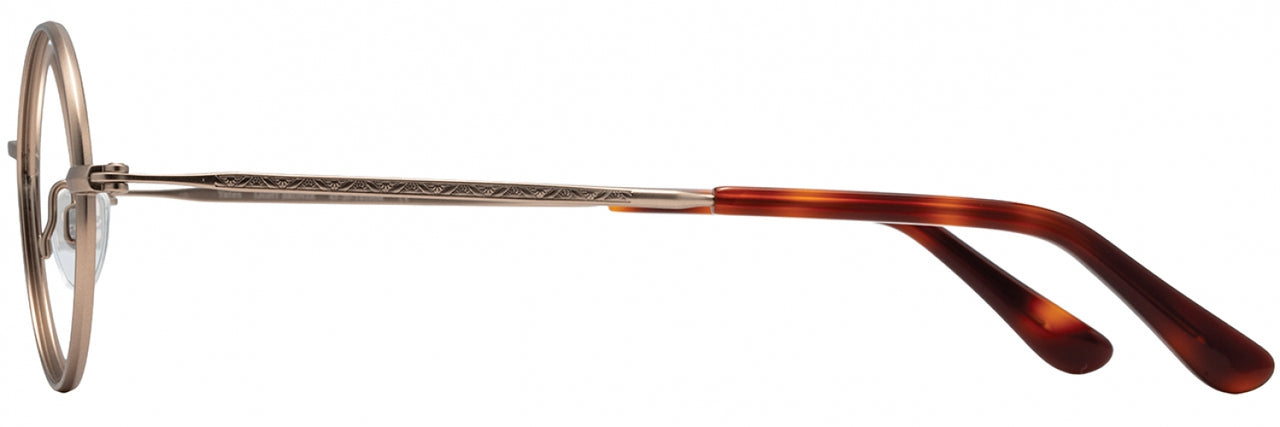 1 - Light Bronze - DM