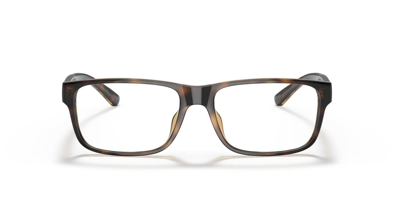 5003 - Tortoise
