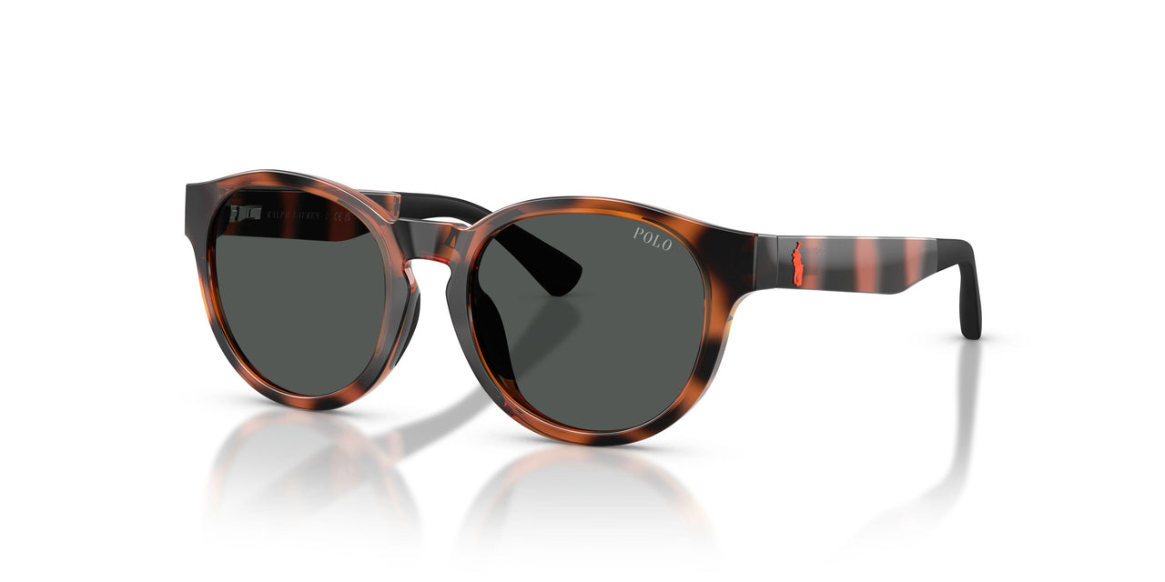 597487 - Tortoise - Dark Grey