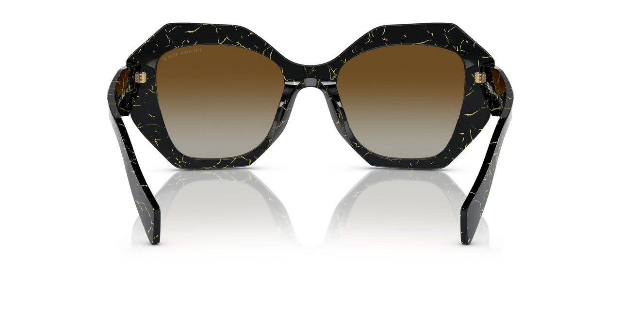 19D6E1 - Black - Polar Brown Gradient