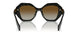 19D6E1 - Black - Polar Brown Gradient