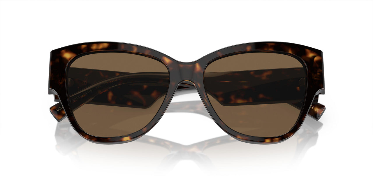 502/73 - Tortoise - Dark Brown