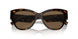 502/73 - Tortoise - Dark Brown