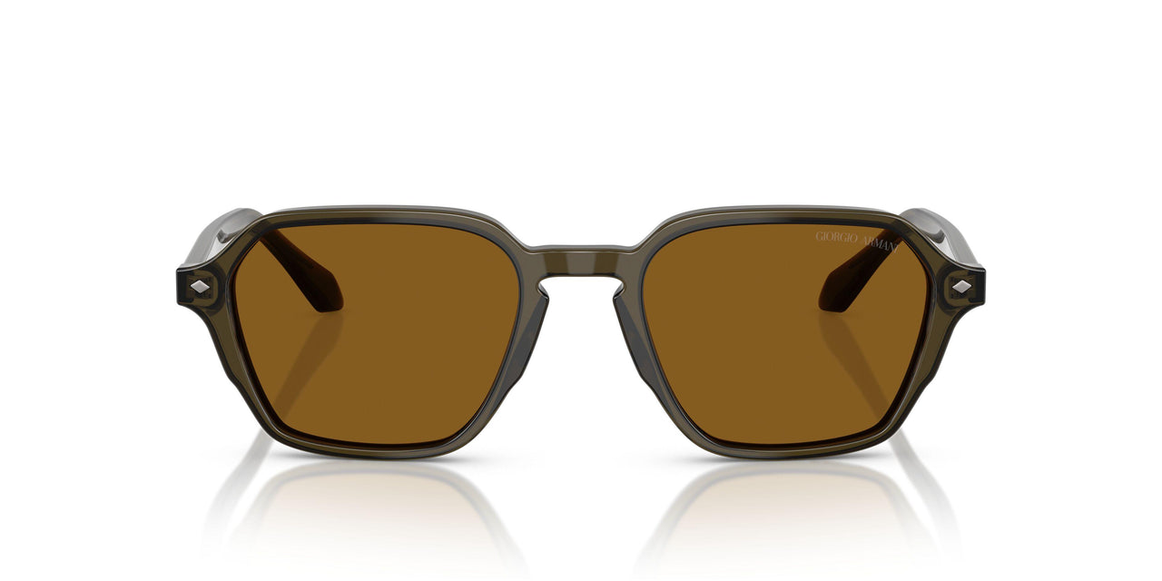 616933 - Green - Brown