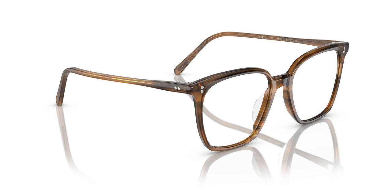1011 - Brown