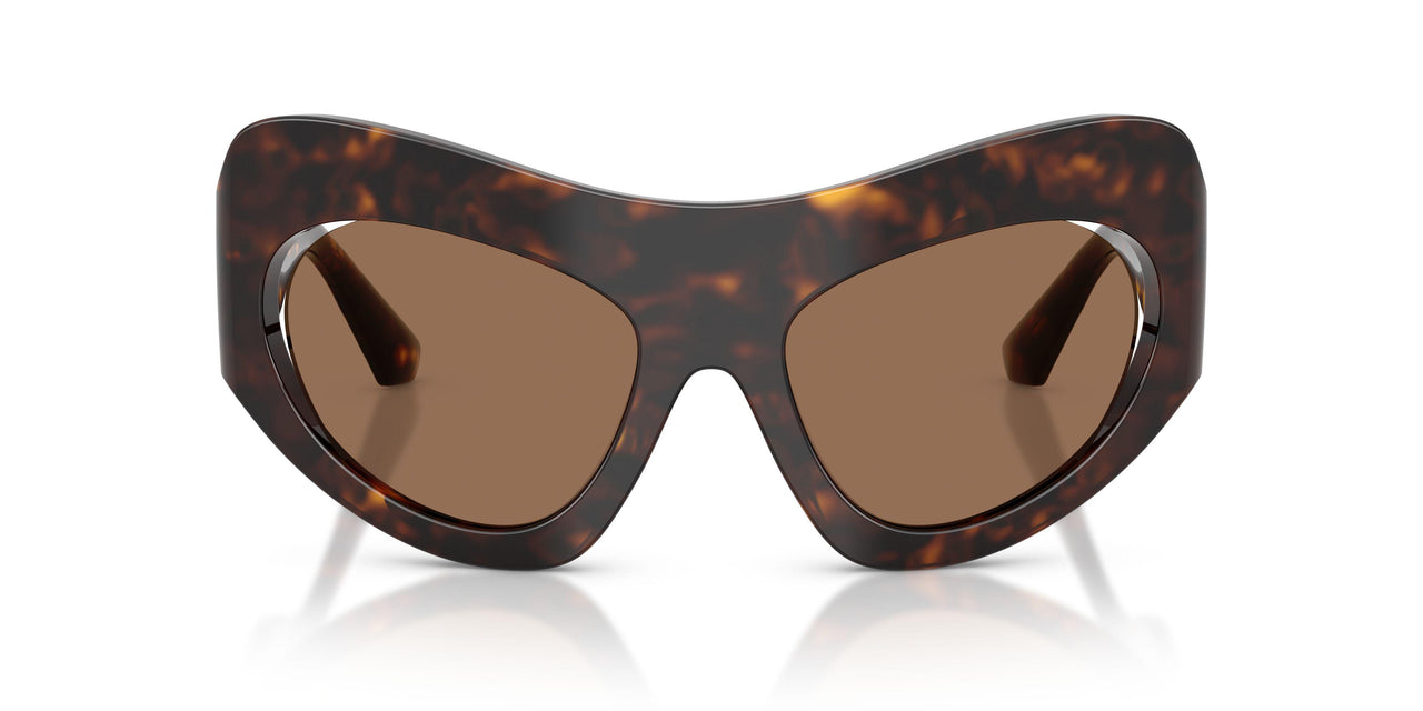 502/73 - Tortoise - Dark Brown