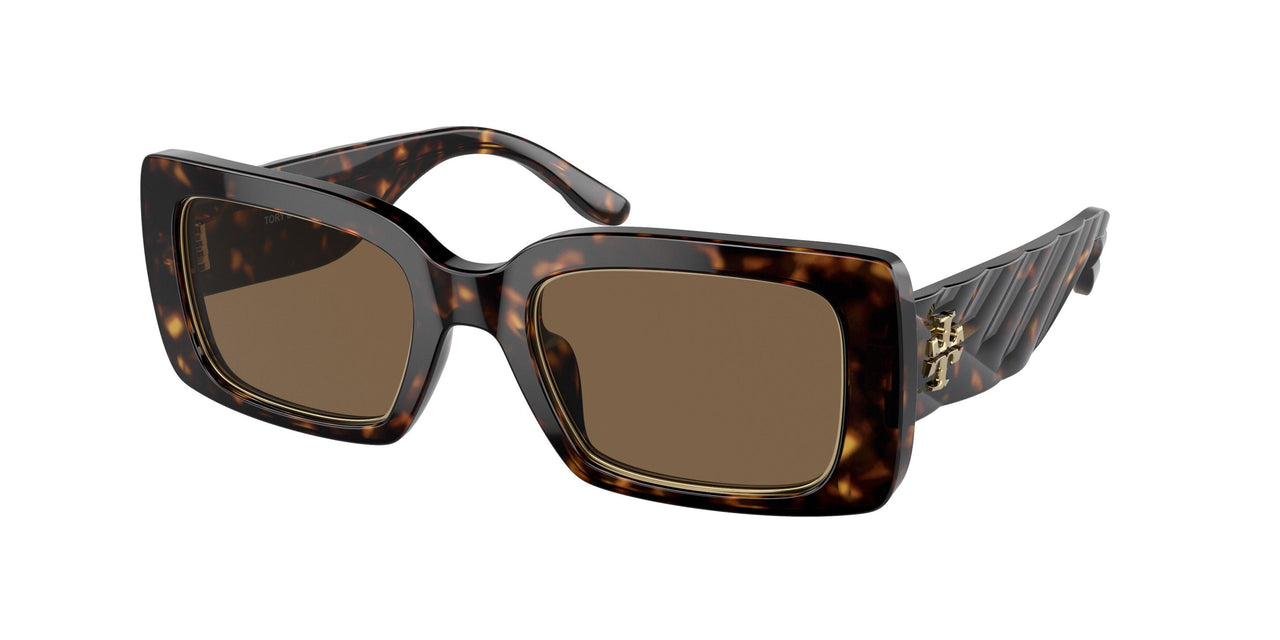 172873 - Tortoise - Dark Brown