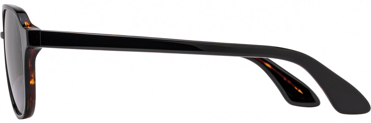 2 - Black Tortoise - True-Color Gray