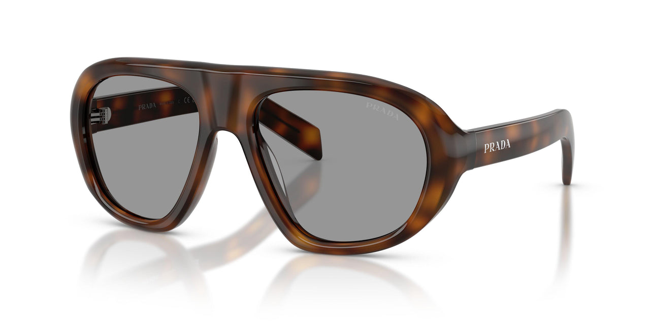 20D50Q - Havana - Grey