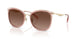 9469T5 - Gold - Brown Gradient Polar