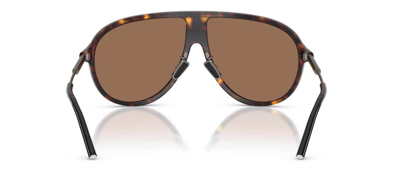 300273 - Tortoise - Brown Solid