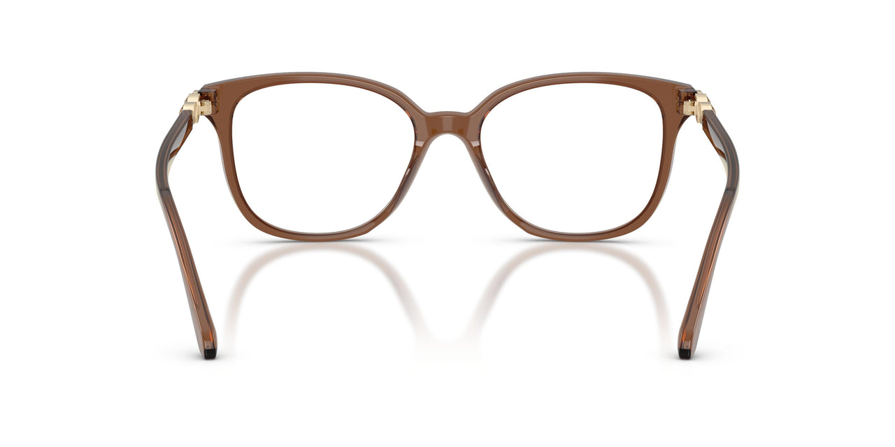 1067 - Brown