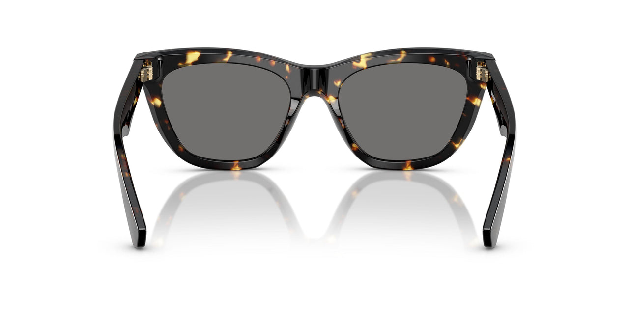 410681 - Tortoise - Dark Grey Polar