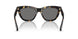 410681 - Tortoise - Dark Grey Polar