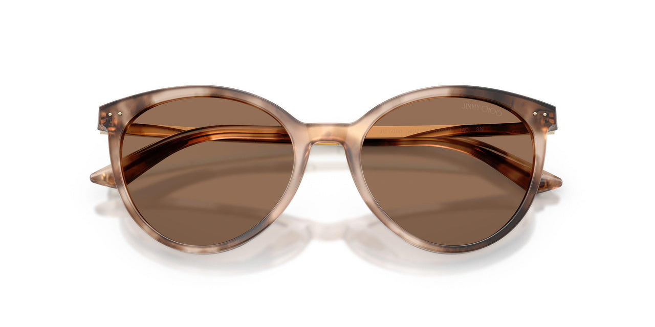 509773 - Tortoise - Dark Brown