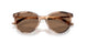 509773 - Tortoise - Dark Brown