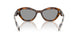 20D50Q - Havana - Grey
