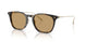 620773 - Tortoise - Brown