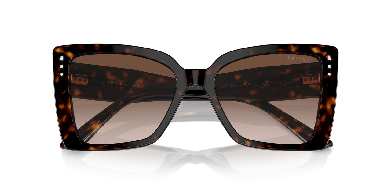 500213 - Tortoise - Gradient Brown