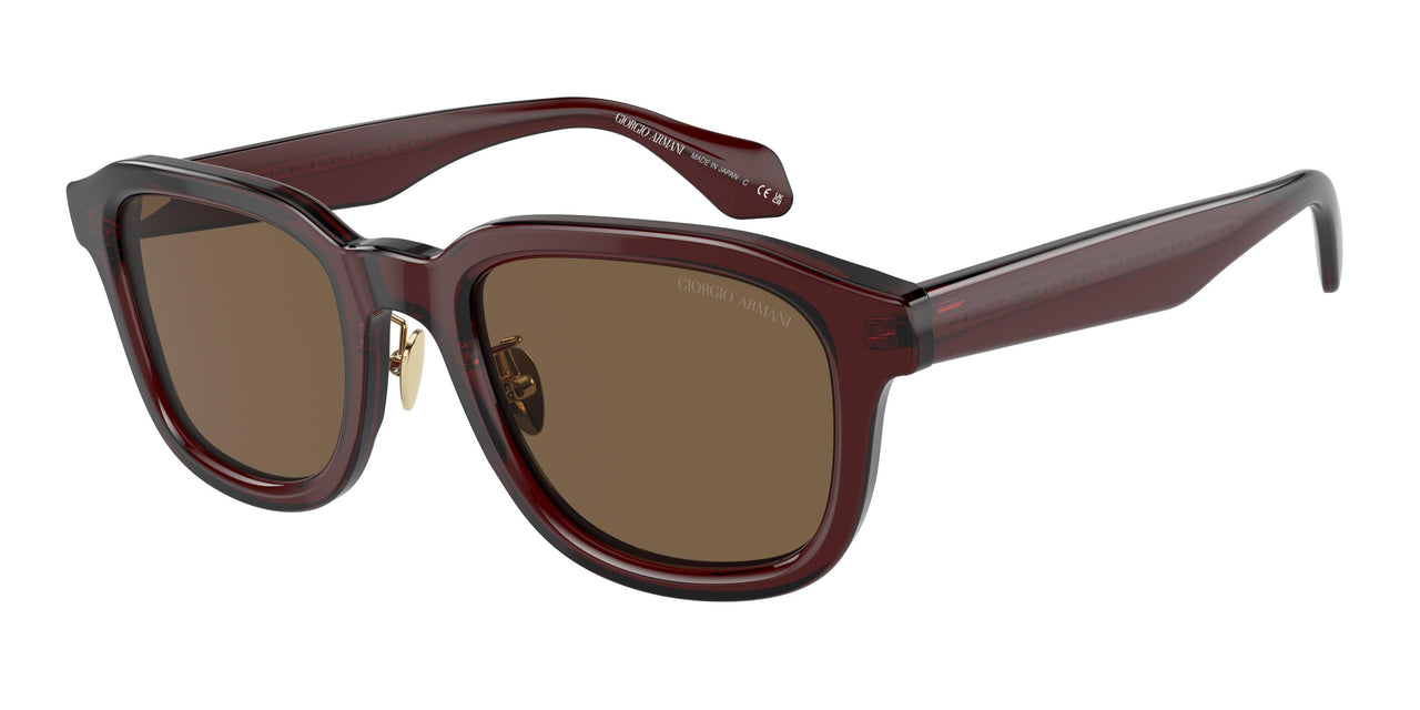 Giorgio Armani 8206 Sunglasses