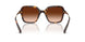 100274 - Tortoise - Gradient Brown