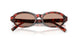847873 - Tortoise - Brown