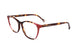O63 - HAVANA RED