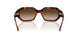 W65613 - Brown - Brown Gradient