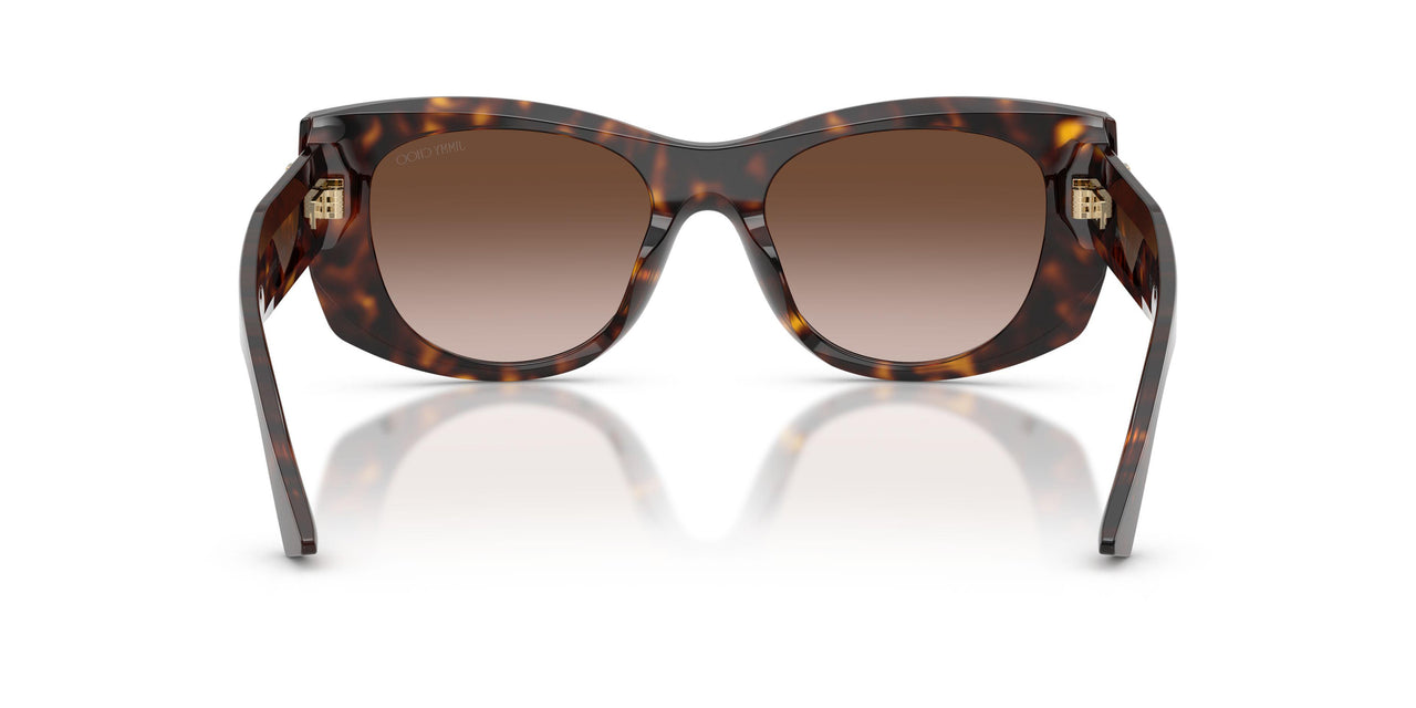 500213 - Tortoise - Brown Gradient