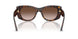 500213 - Tortoise - Brown Gradient