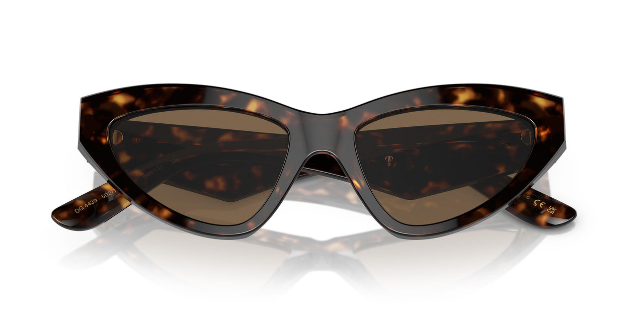 502/73 - Tortoise - Dark Brown