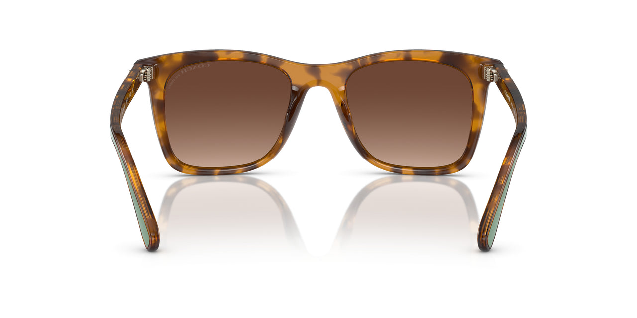5120T5 - Tortoise - Brown Gradient Polar
