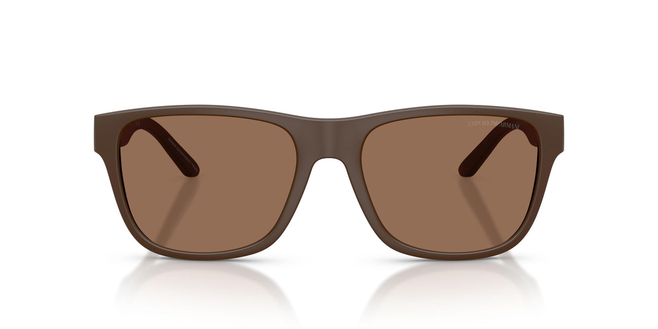 624373 - Brown - Dark Brown