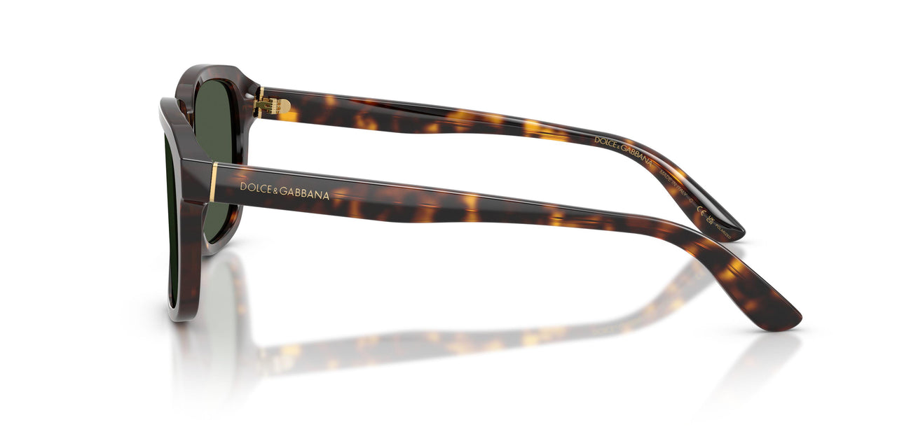 502/9A - Tortoise - Dark Green Polarized